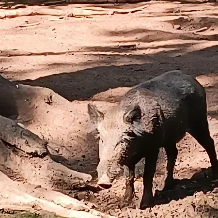 Maison De Famille Entiere, 4 Chambres, 10 Couchages, Piscine Selon Periode