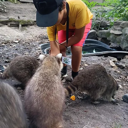 Maison De Famille Entiere, 4 Chambres, 10 Couchages, Piscine Selon Periode * Le Chesne (Ardennes)