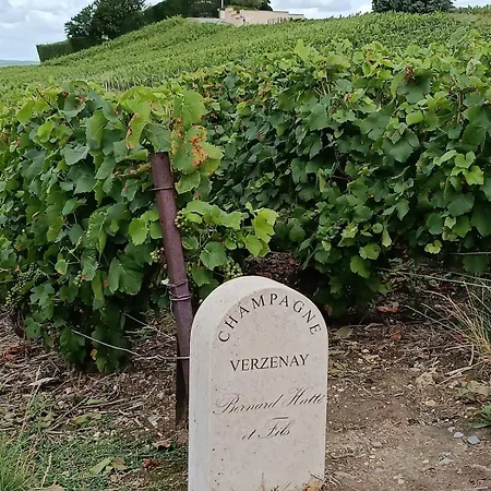 בית נופש Maison De Famille Entiere, 4 Chambres, 10 Couchages, Piscine Selon Periode *