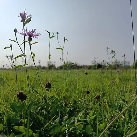 Feriehus Maison De Famille Entiere, 4 Chambres, 10 Couchages, Piscine Selon Periode