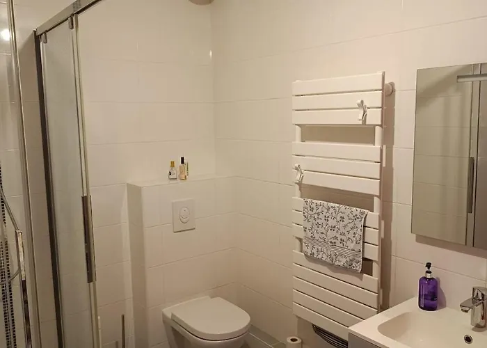 Maison De Famille Entiere, 4 Chambres, 10 Couchages, Piscine Selon Periode Feriehus *