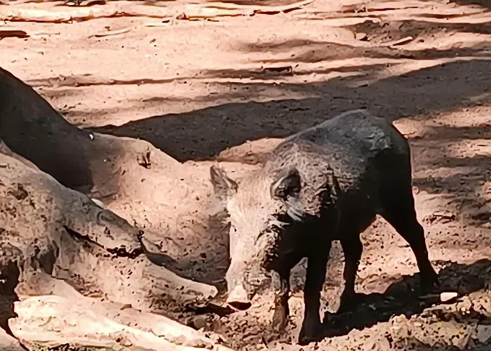Maison De Famille Entiere, 4 Chambres, 10 Couchages, Piscine Selon Periode