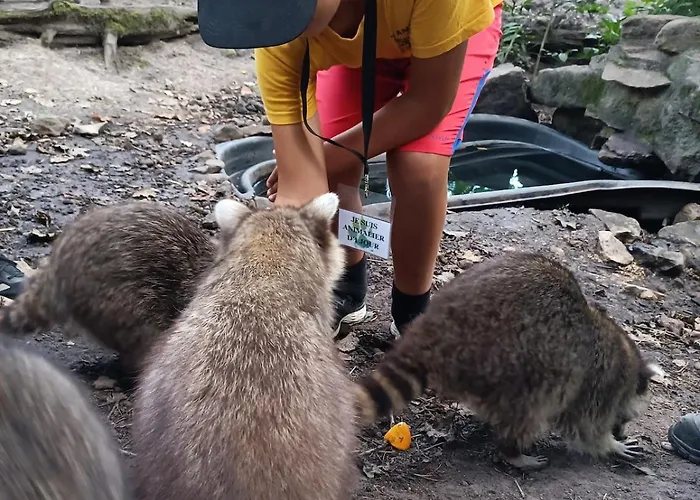 Maison De Famille Entiere, 4 Chambres, 10 Couchages, Piscine Selon Periode * Le Chesne (Ardennes)