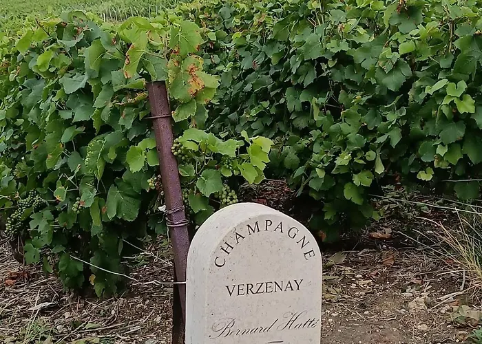 Feriehus Maison De Famille Entiere, 4 Chambres, 10 Couchages, Piscine Selon Periode *