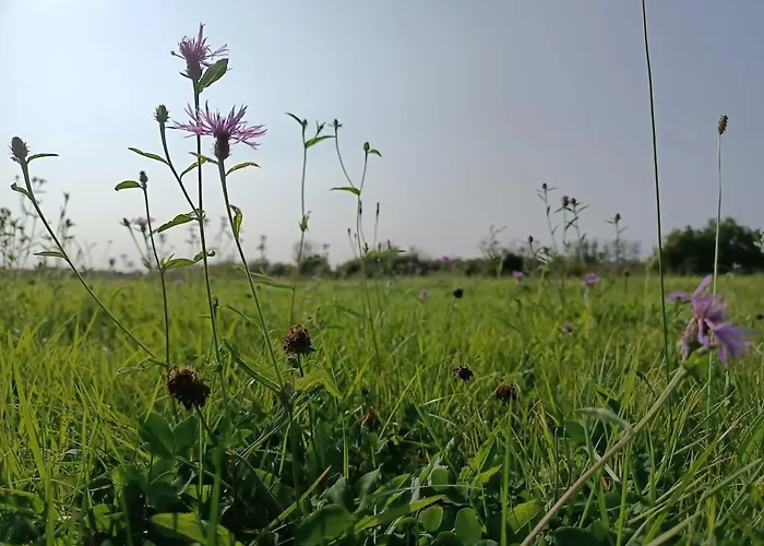 Feriehus Maison De Famille Entiere, 4 Chambres, 10 Couchages, Piscine Selon Periode